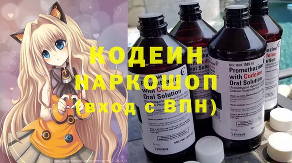 индика Богданович