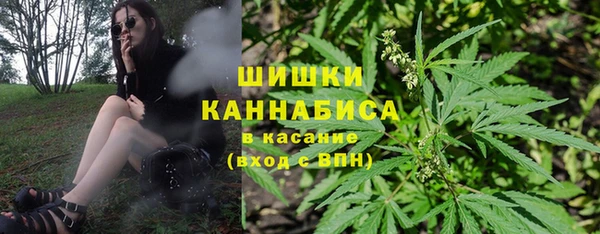 индика Богданович