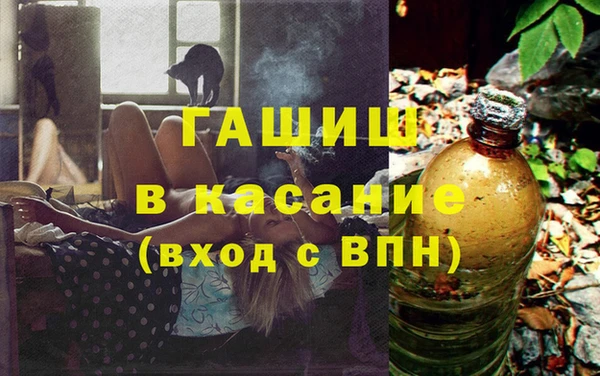 индика Богданович