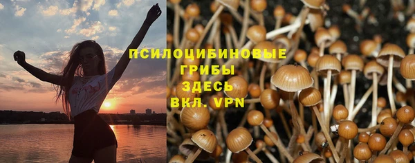 мдпв Сафоново