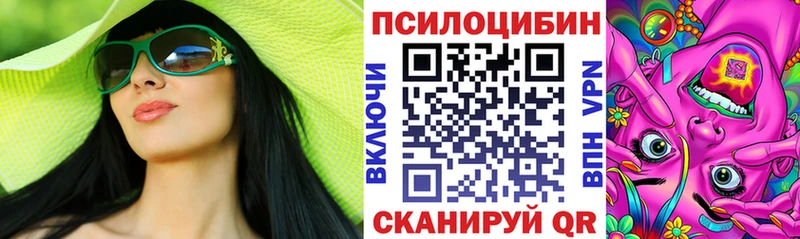 Купить закладки  Алексеевка  Псилоцибиновые грибы прущие грибы 